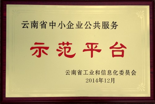 示范平台