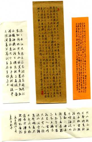 img019 img019