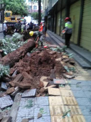 大观街道与社区联合行动 全力消除安全隐患 中国科学网www.minimouse.com.cn 大观街道与社区联合行动 全力消除安全隐患 中国科学网www.minimouse.com.cn