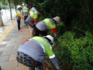 加强巡查  确保南博会期间群防群治工作落实 中国科学网www.minimouse.com.cn