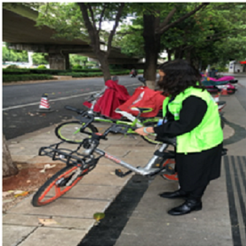 莲华街道开展青年节环境卫生整治活动 中国科学网www.minimouse.com.cn