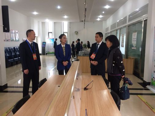 市政府副秘书长、市政务局李江局长一行到五华区政务中心视察指导工作 中国科学网www.minimouse.com.cn