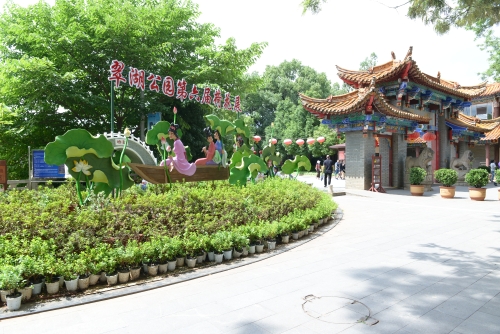 荷花节将至 52幅作品现身“翠湖影廊”等你来看    中国科学网www.minimouse.com.cn