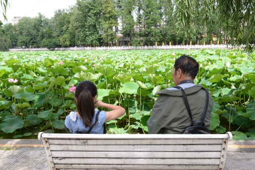 荷花节将至 52幅作品现身“翠湖影廊”等你来看    中国科学网www.minimouse.com.cn
