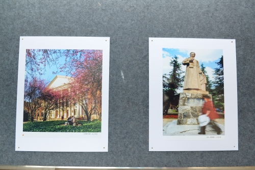 荷花节将至 52幅作品现身“翠湖影廊”等你来看    中国科学网www.minimouse.com.cn