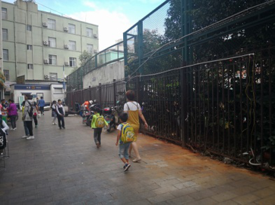 责任在心 担当在行——大观街道城市管理集中整治纪实 中国科学网www.minimouse.com.cn