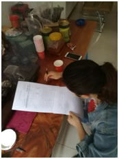 红云街道统计站关于替换规模以下建筑业小微企业工作 中国科学网www.minimouse.com.cn