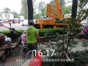 高效出动  排除险情 中国科学网www.minimouse.com.cn