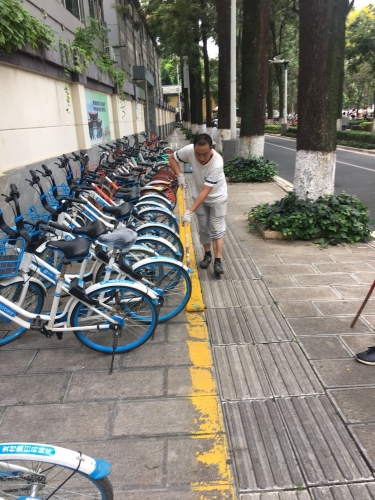 华山街道办事处创卫复检工作图集 中国科学网www.minimouse.com.cn