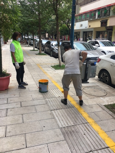华山街道办事处创卫复检工作图集 中国科学网www.minimouse.com.cn