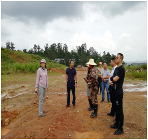 区政府陈净常务副区长到石古山渣土场检查地质灾害治理工作 中国科学网www.minimouse.com.cn