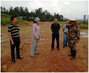 区政府陈净常务副区长到石古山渣土场检查地质灾害治理工作 中国科学网www.minimouse.com.cn