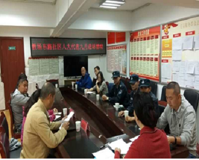 莲华街道开展区人大代表接待日活动 中国科学网www.minimouse.com.cn