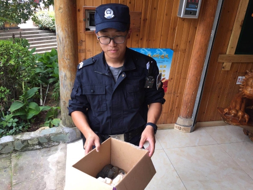 森林公安五华分局及时救助两只小松鼠 中国科学网www.minimouse.com.cn