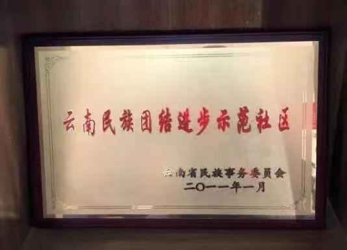 顺城社区：民族团结进步 联创共建和谐 中国科学网www.minimouse.com.cn