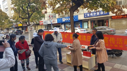 龙翔街道开展“12·4”国家宪法日  宣传教育活动 中国科学网www.minimouse.com.cn