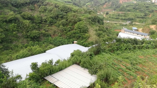 昆明市森林公安局五华分局开展禁养区划定专项整治行动取得成效 中国科学网www.minimouse.com.cn