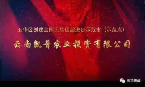 以发展促进民族团结 民族兄弟同步小康 ——云南凯普农业带动民族地区经济跨越式发展 中国科学网www.minimouse.com.cn