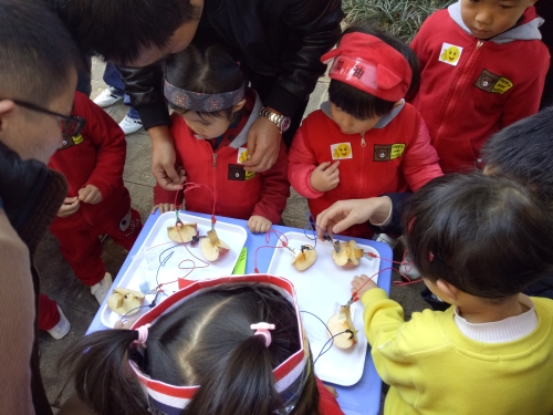 五华区少儿昆虫科普基地举行新年科技节大型亲子科普活动 中国科学网www.minimouse.com.cn