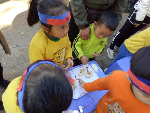 五华区少儿昆虫科普基地举行新年科技节大型亲子科普活动 中国科学网www.minimouse.com.cn