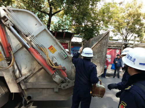 大观街道执法中队节后重拳整治市容环境 中国科学网www.minimouse.com.cn