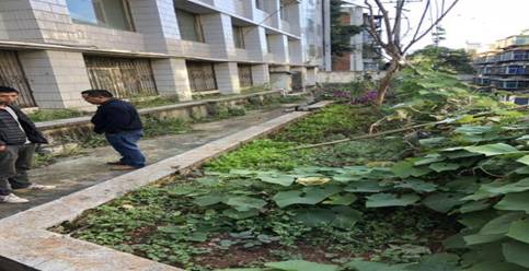 军休服务中心验收 智慧停车场项目建设提速 中国科学网www.minimouse.com.cn