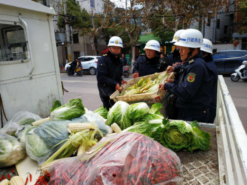 加强市容管理，专项整治占道经营、流动商贩、“门前三包”等城市管理顽疾 中国科学网www.minimouse.com.cn