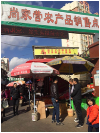 红云街道节前市场检查 中国科学网www.minimouse.com.cn