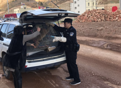 森林公安局五华分局救助一只猕猴 中国科学网www.minimouse.com.cn