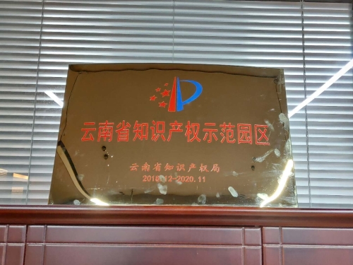 云南省知识产权示范园区