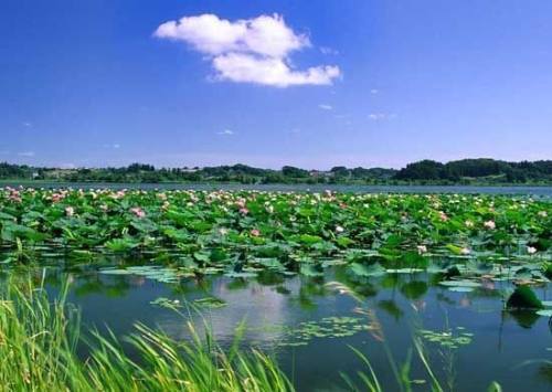 翠湖1