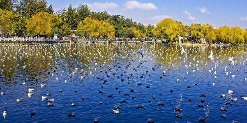 翠湖2