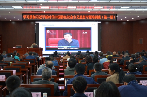 厉害了！五华区这项工作在全省得到交流 中国科学网www.minimouse.com.cn