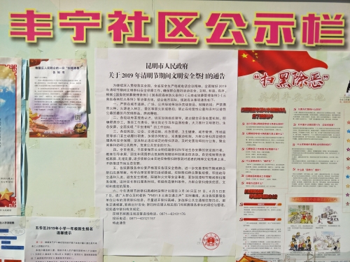 丰宁社区开展“殡葬改革 文明祭扫”宣传活动 中国科学网www.minimouse.com.cn