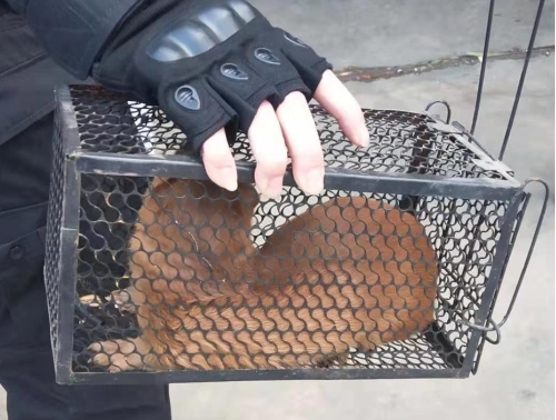 9579f1d8f8c22b877079fd624c5f5cc