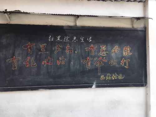 西站45号院整治工作取得较好效果 中国科学网www.minimouse.com.cn
