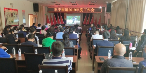 丰宁街道召开2019年工作会 中国科学网www.minimouse.com.cn