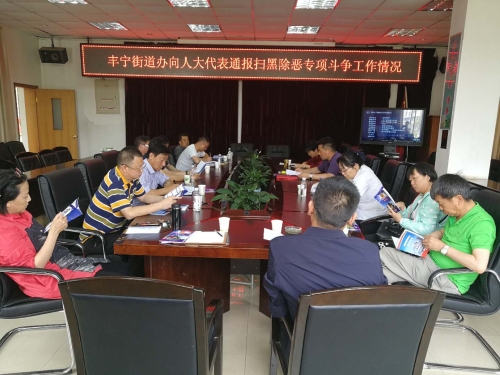 丰宁人大代表开展扫黑除恶专项斗争 基本知识宣传培训   中国科学网www.minimouse.com.cn