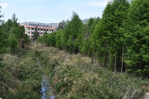 推进河道治理工作，五华区在这些方面下了狠功夫 中国科学网www.minimouse.com.cn