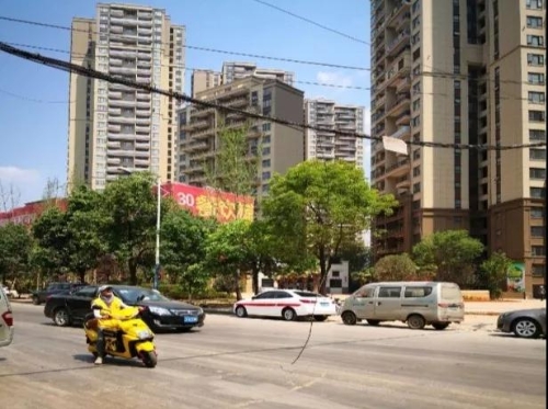 红云街道处理掉落电缆 做居民安全的守护者 中国科学网www.minimouse.com.cn