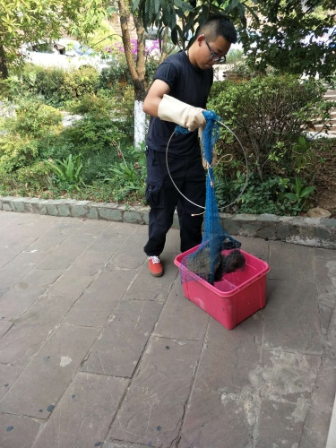 自然资源公安民警解救误入蓄水池的果子狸 中国科学网www.minimouse.com.cn