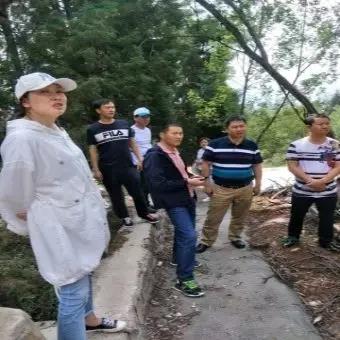 红云街道开展违规墓地平毁整治工作 中国科学网www.minimouse.com.cn