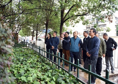 市容环境提升整治行动 | 区政府领导巡查环境综合整治 中国科学网www.minimouse.com.cn