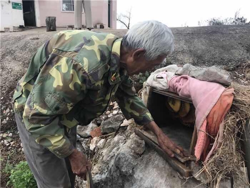 长虫山63岁护林员：“寂寞”守山14年 中国科学网www.minimouse.com.cn
