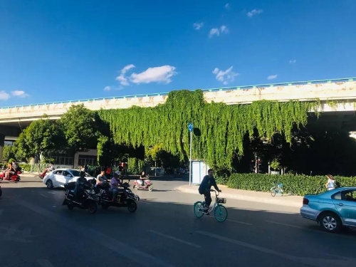 昆明五华发布 | 图说五华 中国科学网www.minimouse.com.cn