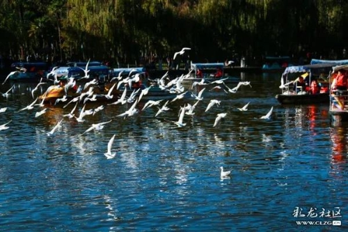 文明风采巡展 | 他们用文明擦亮"昆明的眼睛" 中国科学网www.minimouse.com.cn