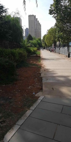 共建美好家园、营造畅通出行环境 中国科学网www.minimouse.com.cn 共建美好家园、营造畅通出行环境 中国科学网www.minimouse.com.cn