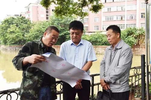 区人大开展大观河综合整治巡查工作 中国科学网www.minimouse.com.cn