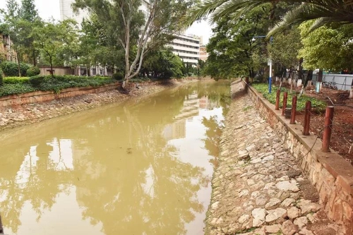 区人大开展大观河综合整治巡查工作 中国科学网www.minimouse.com.cn