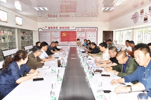 区人大开展大观河综合整治巡查工作 中国科学网www.minimouse.com.cn